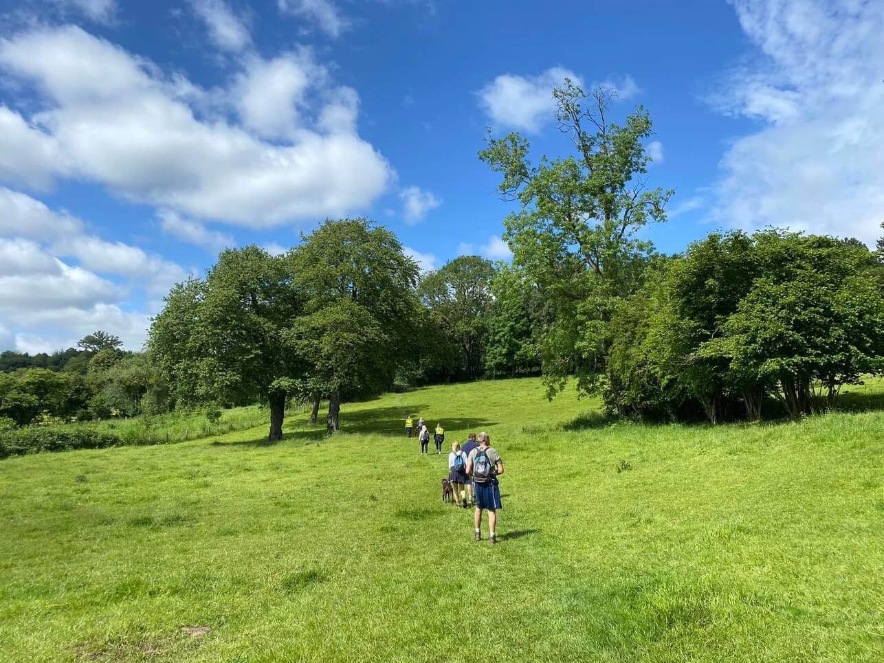 Group of people walking to raise mental health awareness